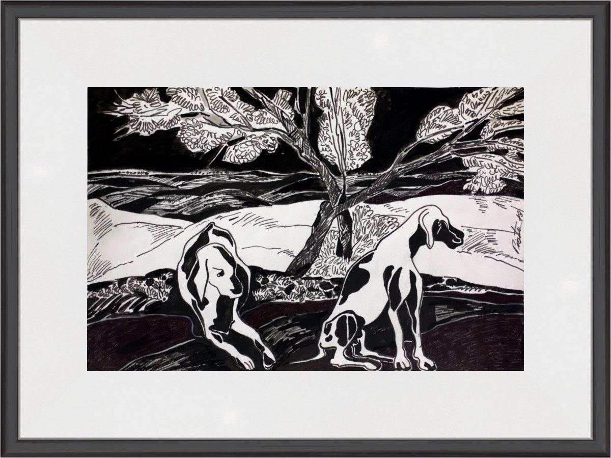 Perros de caza: Paloma y Estrella