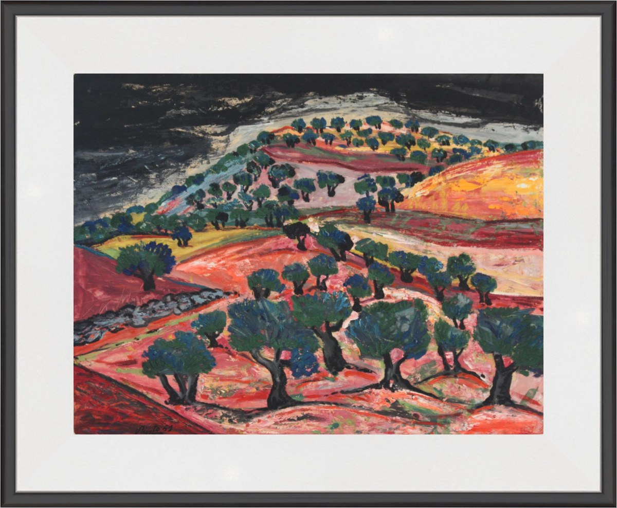 Tormenta en el olivar